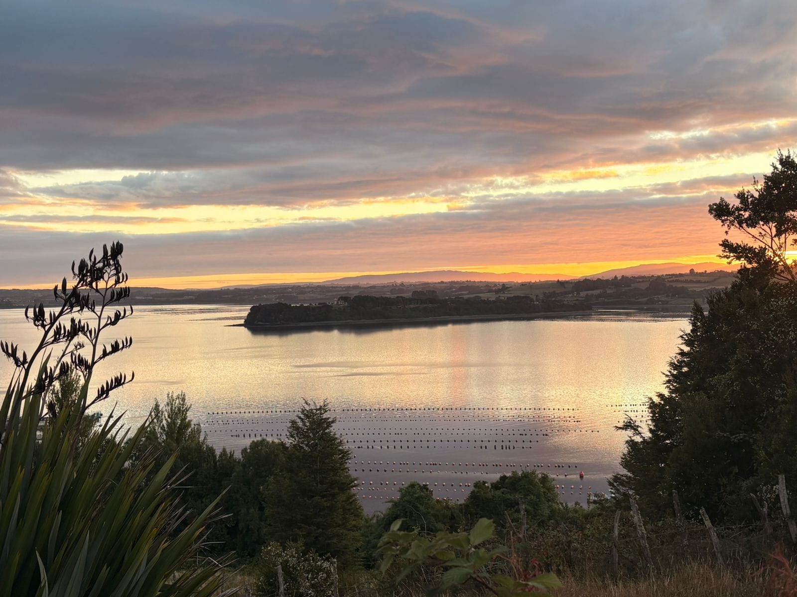 The sun setting in Chiloe. 