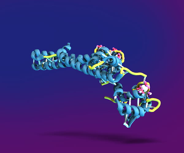 A colorful illustration of a troponin molecule against a blue background.