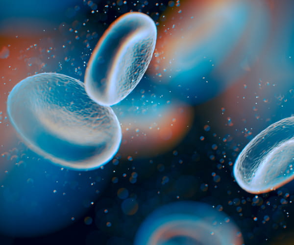 A 3D illustration microscopic close-up of red blood cells.