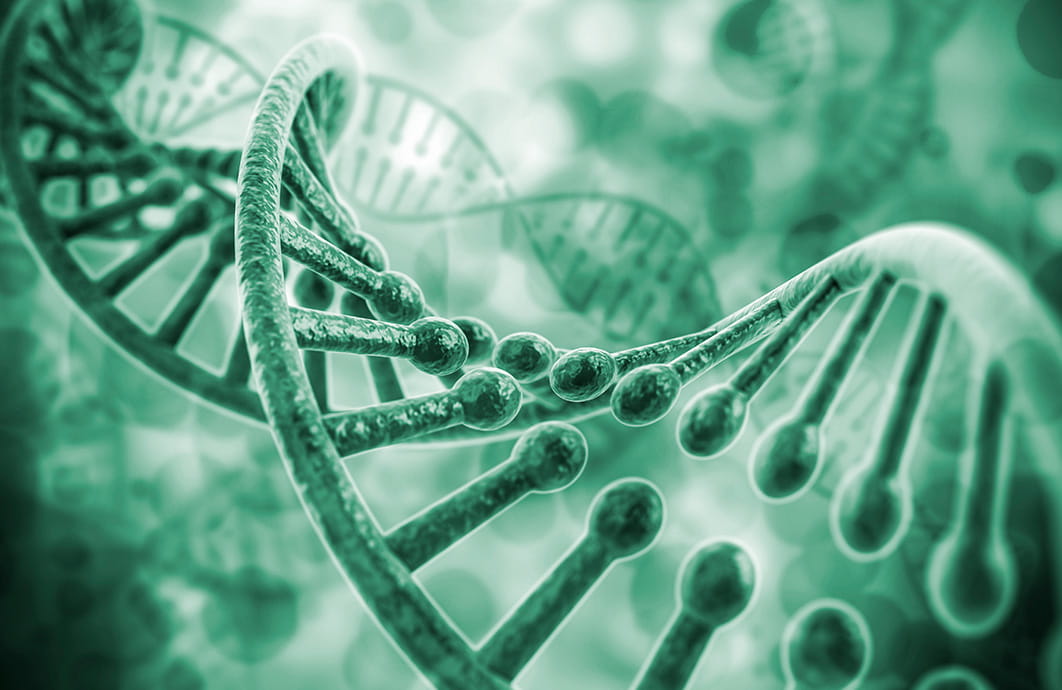 An illustration of a DNA molecule.